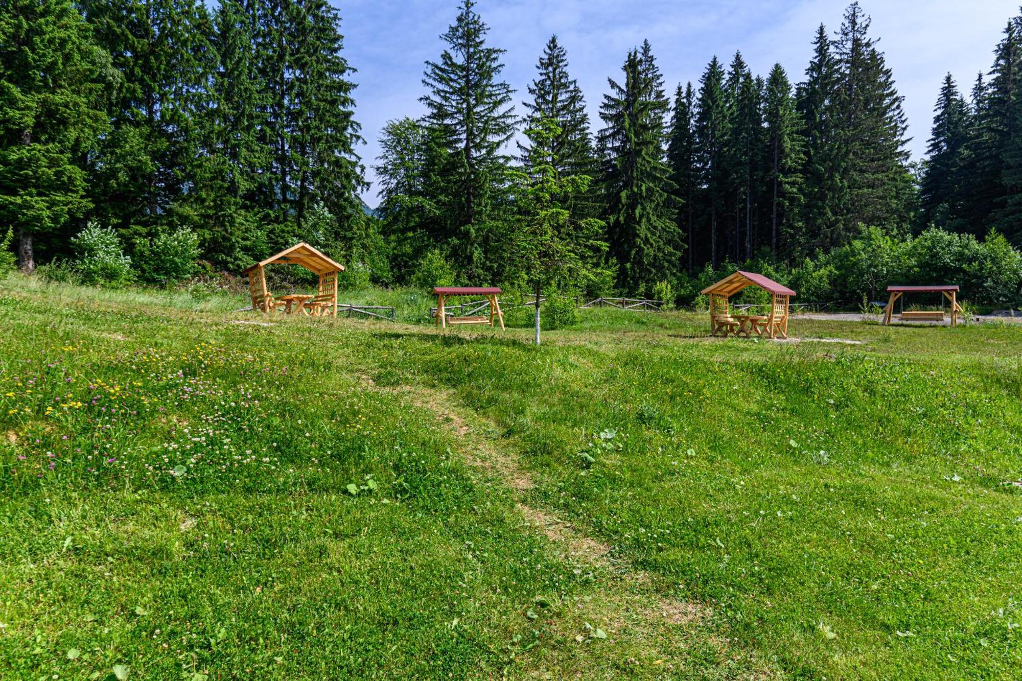 Apartment "Mountain Relax" Poiana Brașov Exterior foto